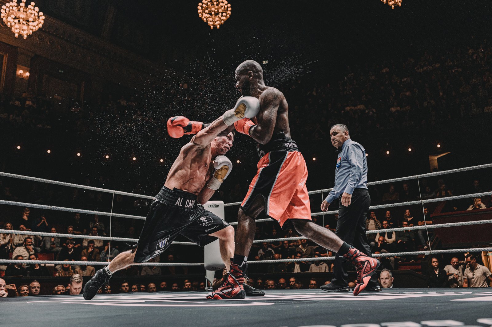 Danyo web www.webriser.nl-17